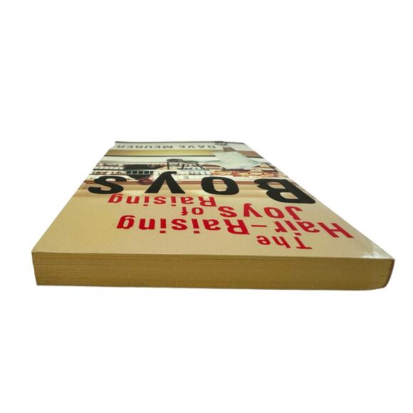 The Hair-Raising Joys of Raising Boys by Dave Meurer (2006, Paperback) - Picture 6 of 6